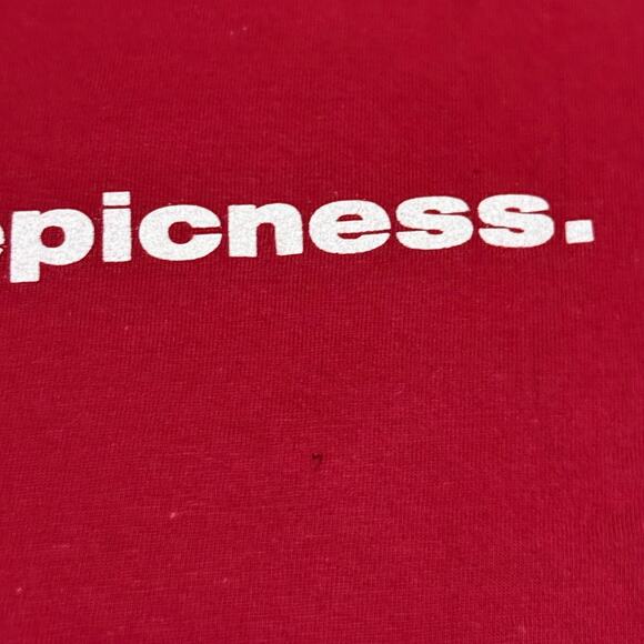 2010 Scott Pilgrim vs the World Shirt Large Comic Con An Epic of Epic Epicness - Picture 6 of 9